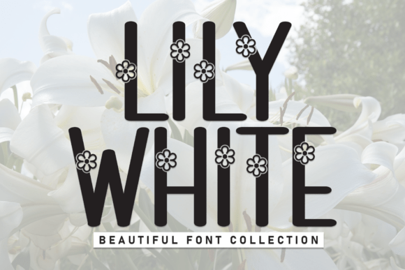 Lily White Font: Adding Sweetness to Your Brand Identity